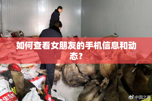 如何查看女朋友的手机信息和动态？