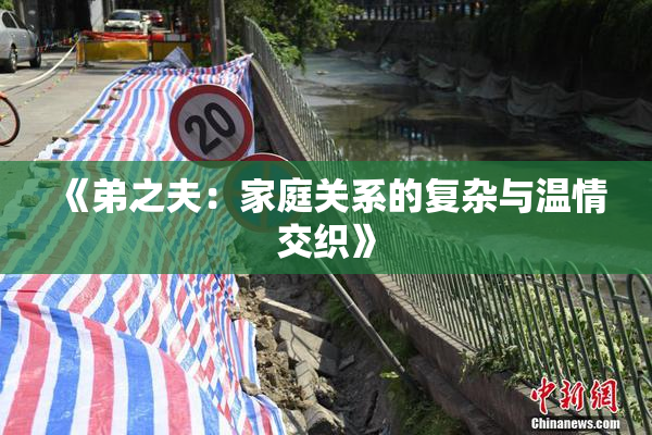 《弟之夫：家庭关系的复杂与温情交织》