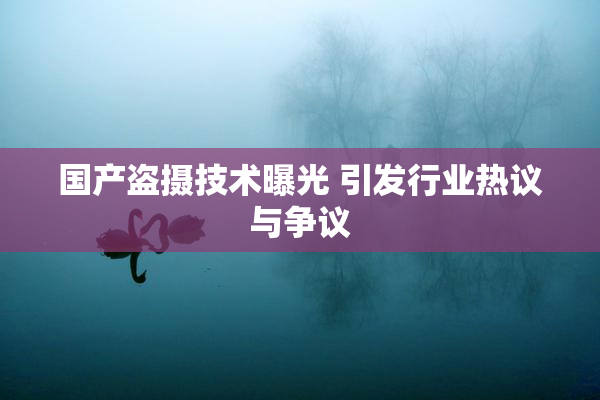 国产盗摄技术曝光 引发行业热议与争议
