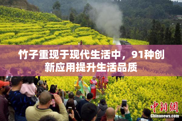 竹子重现于现代生活中，91种创新应用提升生活品质