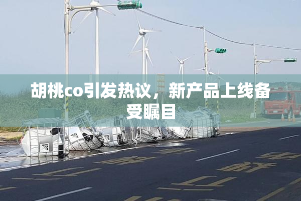 胡桃co引发热议，新产品上线备受瞩目