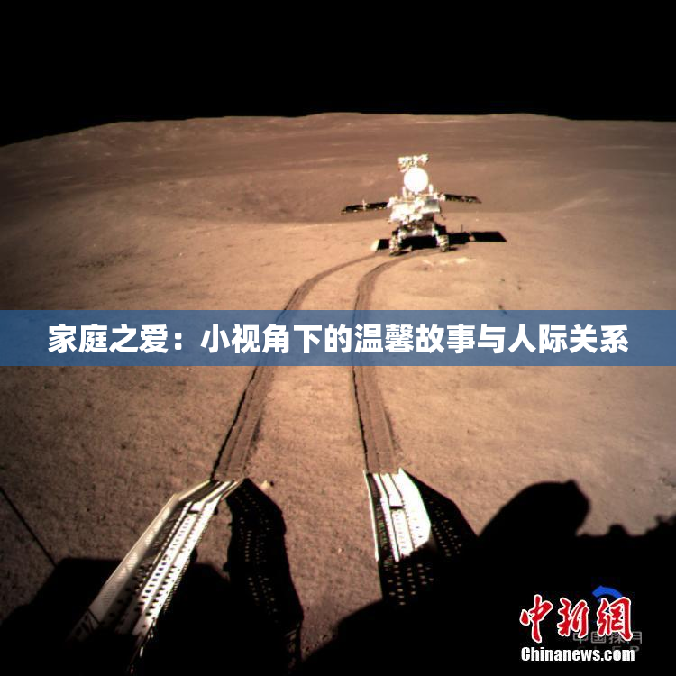 家庭之爱：小视角下的温馨故事与人际关系