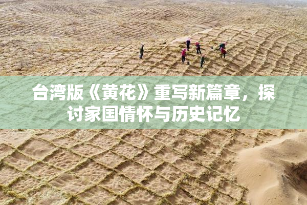 台湾版《黄花》重写新篇章，探讨家国情怀与历史记忆