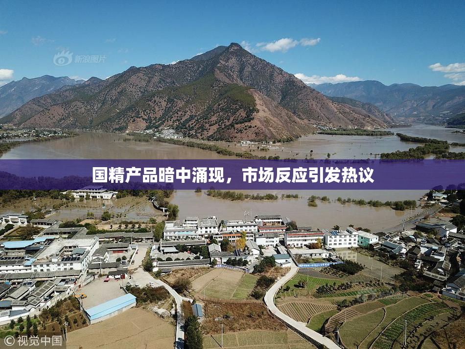 国精产品暗中涌现，市场反应引发热议