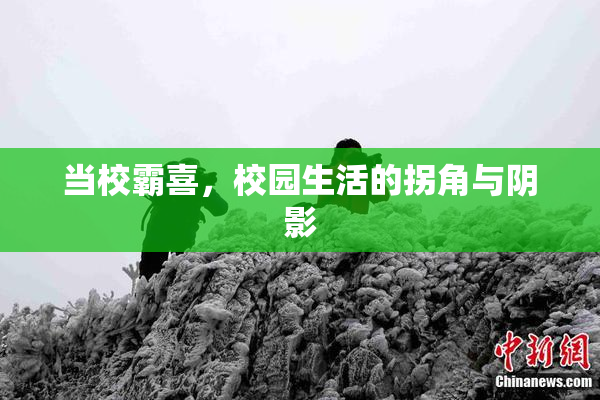 当校霸喜，校园生活的拐角与阴影