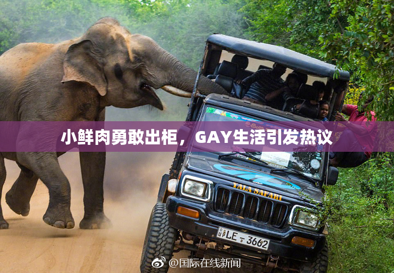 小鲜肉勇敢出柜，GAY生活引发热议