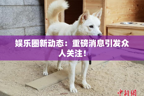 娱乐圈新动态：重磅消息引发众人关注！