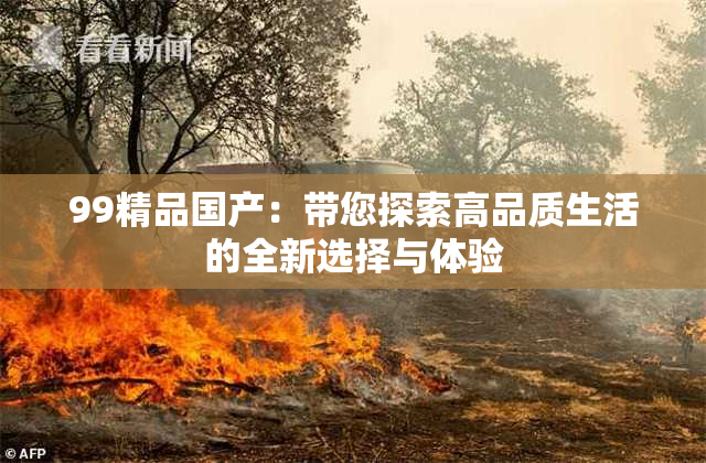 99精品国产：带您探索高品质生活的全新选择与体验