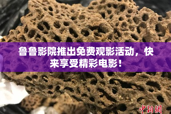 鲁鲁影院推出免费观影活动，快来享受精彩电影！