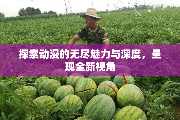 探索动漫的无尽魅力与深度，呈现全新视角
