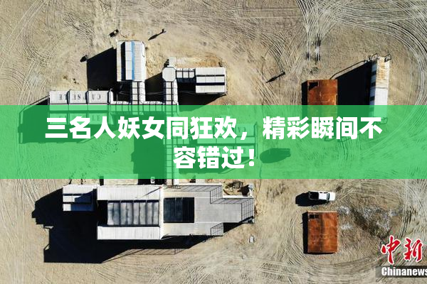 三名人妖女同狂欢，精彩瞬间不容错过！