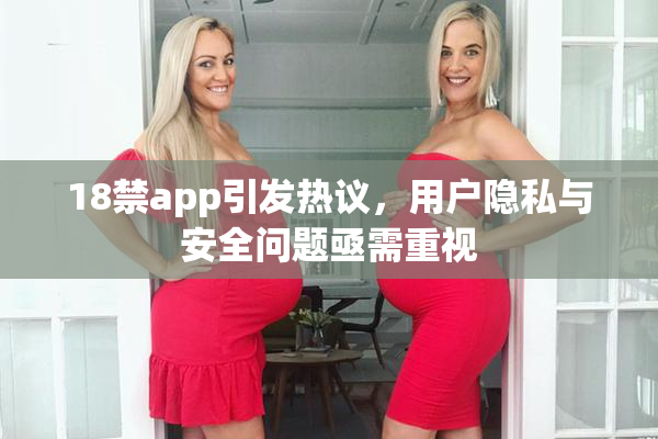 18禁app引发热议，用户隐私与安全问题亟需重视