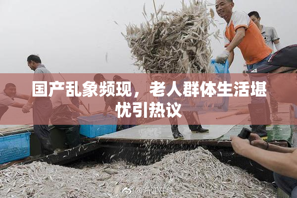 国产乱象频现，老人群体生活堪忧引热议