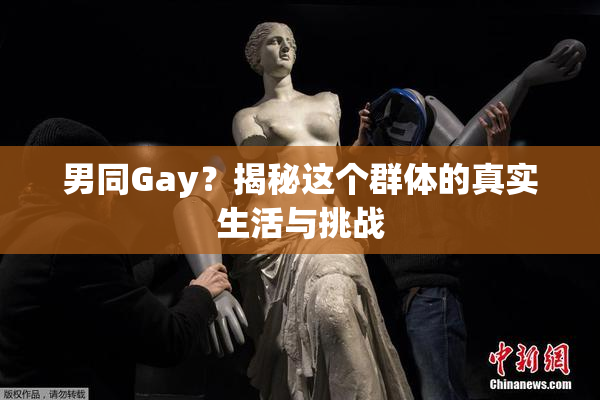 男同Gay？揭秘这个群体的真实生活与挑战