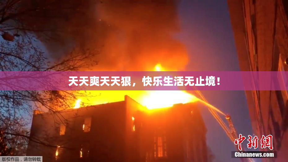 天天爽天天狠，快乐生活无止境！