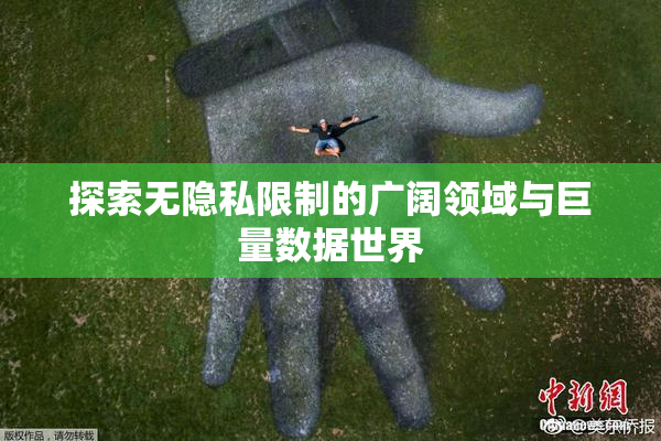 探索无隐私限制的广阔领域与巨量数据世界