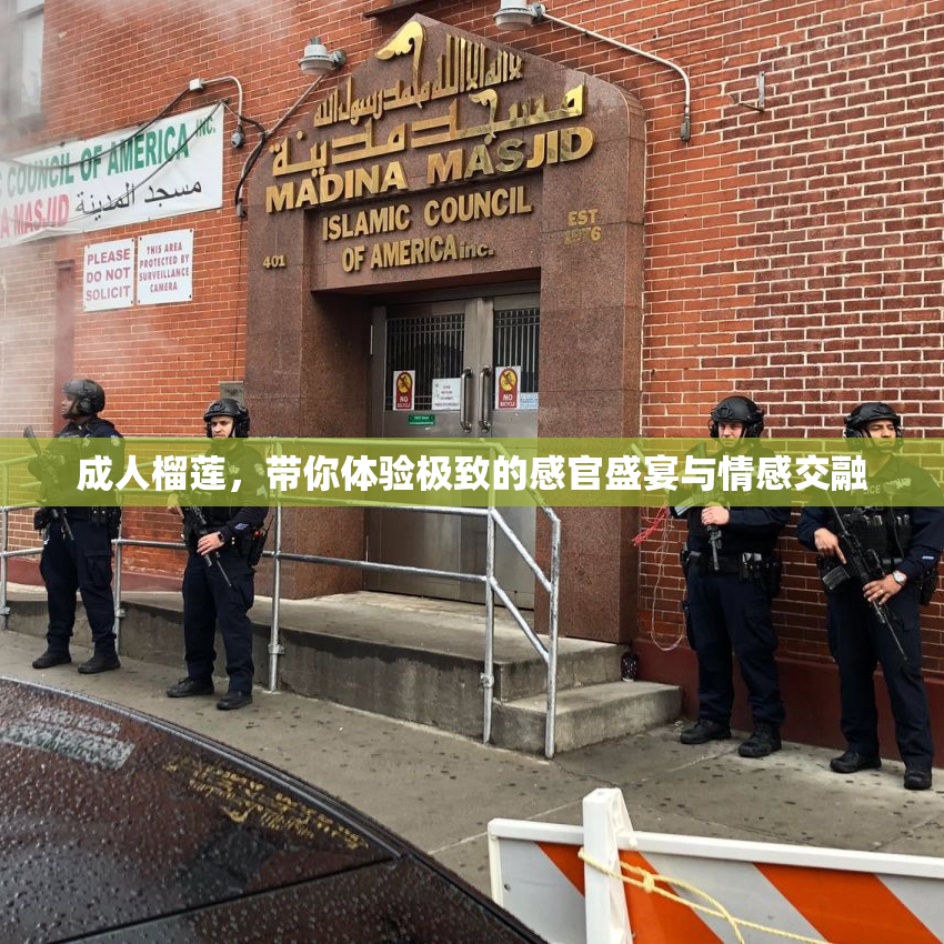 成人榴莲，带你体验极致的感官盛宴与情感交融