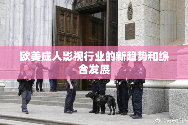 欧美成人影视行业的新趋势和综合发展