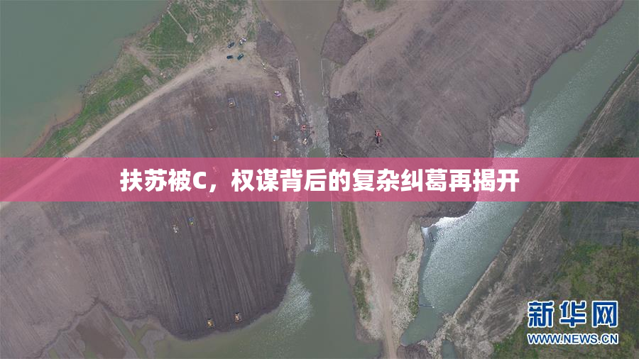 扶苏被C，权谋背后的复杂纠葛再揭开