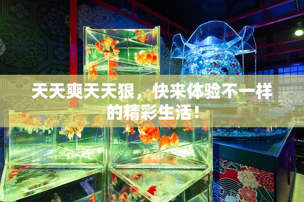 天天爽天天狠，快来体验不一样的精彩生活！