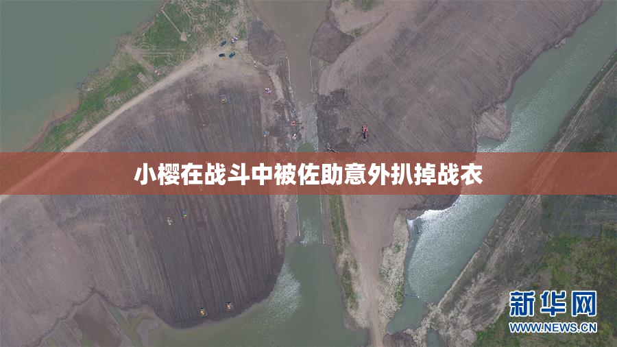 小樱在战斗中被佐助意外扒掉战衣