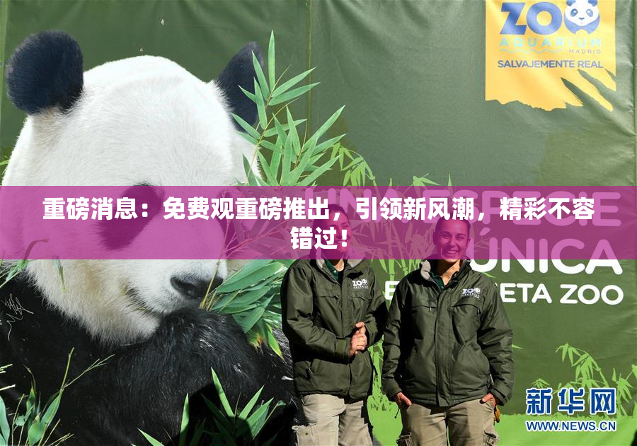 重磅消息：免费观重磅推出，引领新风潮，精彩不容错过！