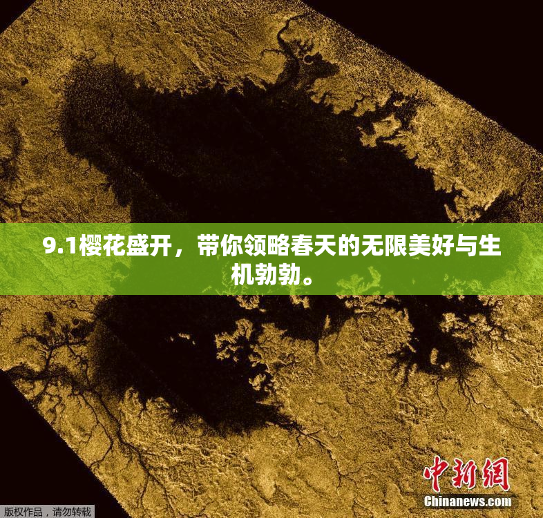 9.1樱花盛开，带你领略春天的无限美好与生机勃勃。