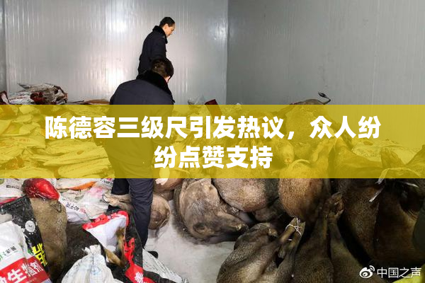 陈德容三级尺引发热议，众人纷纷点赞支持