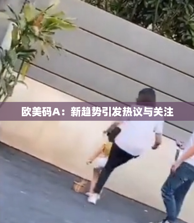 欧美码A：新趋势引发热议与关注