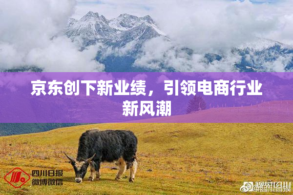 京东创下新业绩，引领电商行业新风潮