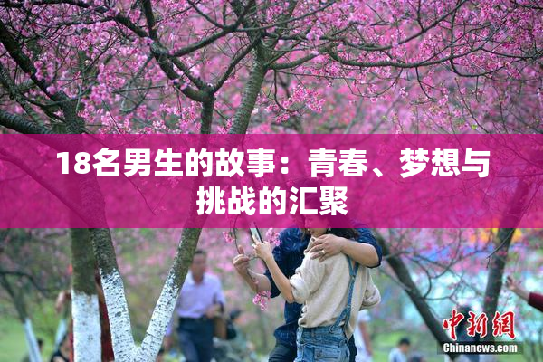 18名男生的故事：青春、梦想与挑战的汇聚
