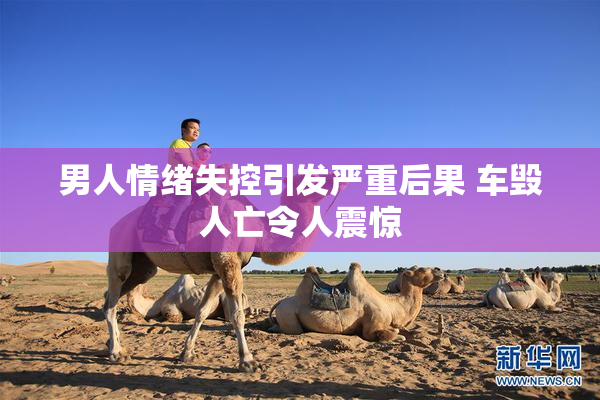 男人情绪失控引发严重后果 车毁人亡令人震惊