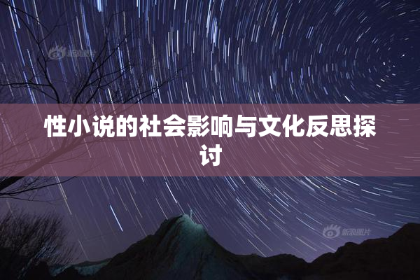 性小说的社会影响与文化反思探讨