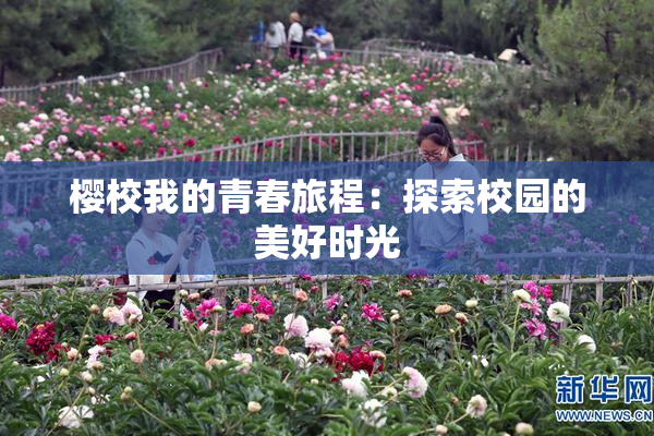 樱校我的青春旅程：探索校园的美好时光