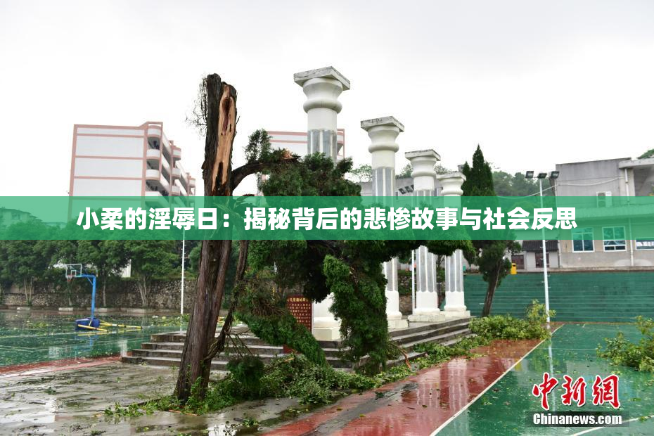 小柔的淫辱日：揭秘背后的悲惨故事与社会反思