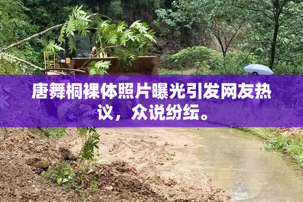 唐舞桐裸体照片曝光引发网友热议，众说纷纭。