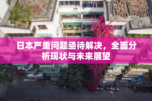 日本严重问题亟待解决，全面分析现状与未来展望