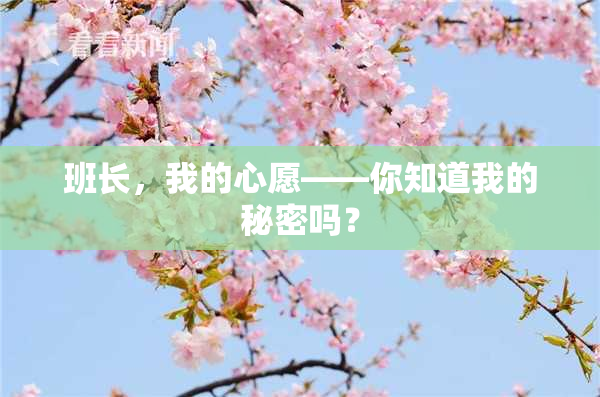 班长，我的心愿——你知道我的秘密吗？