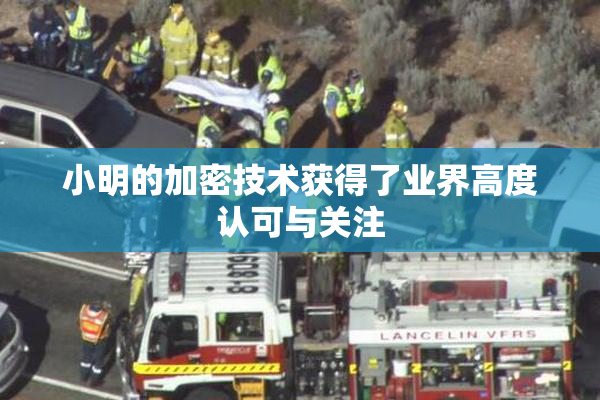 小明的加密技术获得了业界高度认可与关注