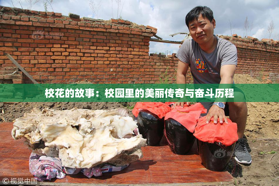 校花的故事：校园里的美丽传奇与奋斗历程