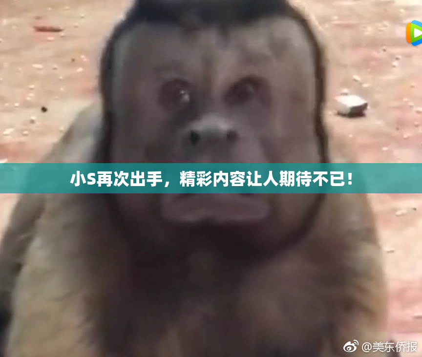 小S再次出手，精彩内容让人期待不已！
