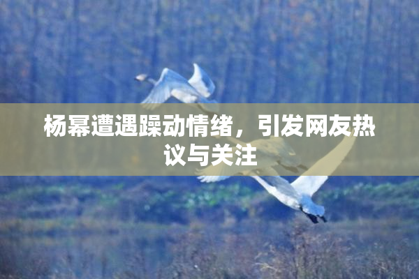 杨幂遭遇躁动情绪，引发网友热议与关注
