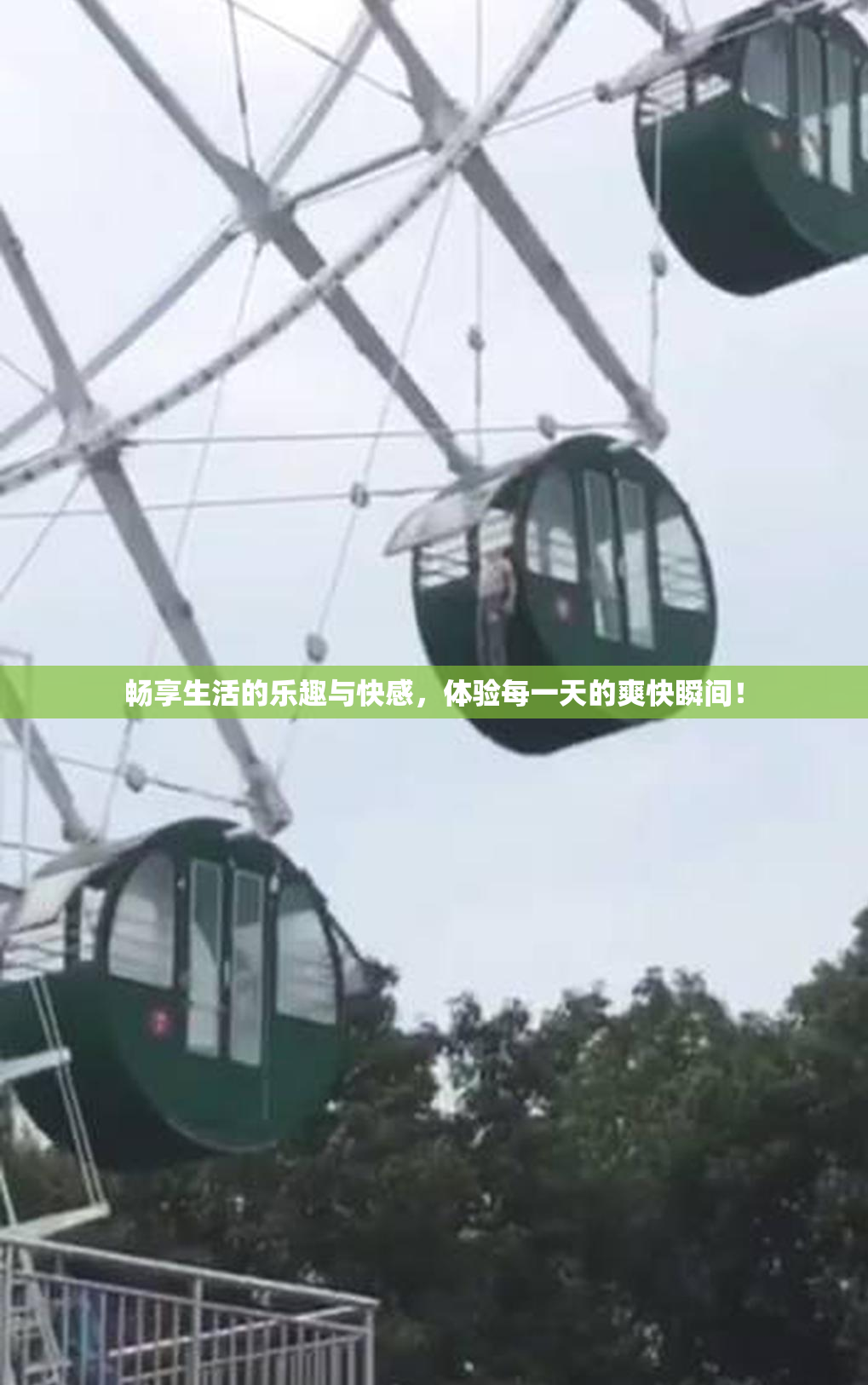畅享生活的乐趣与快感，体验每一天的爽快瞬间！