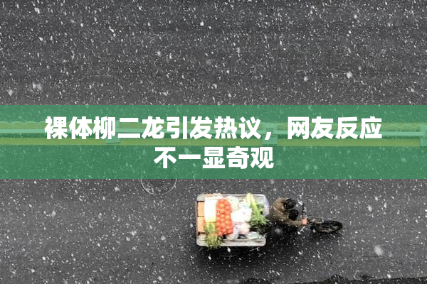 裸体柳二龙引发热议，网友反应不一显奇观