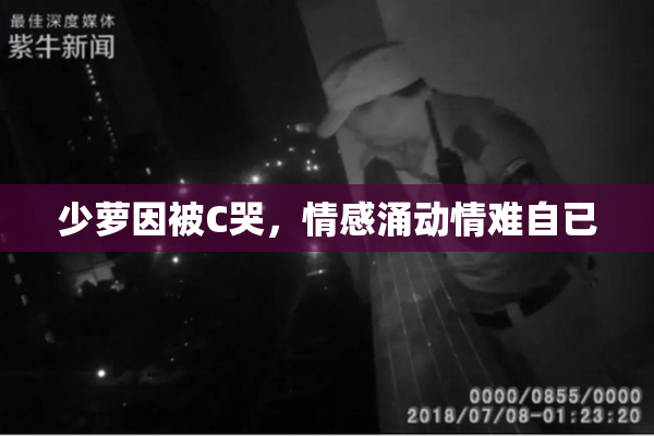 少萝因被C哭，情感涌动情难自已