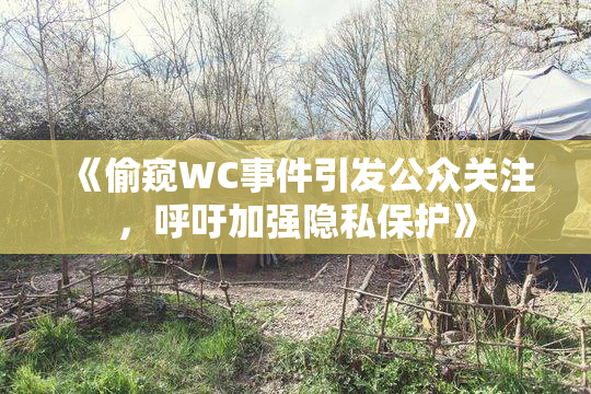《偷窥WC事件引发公众关注，呼吁加强隐私保护》