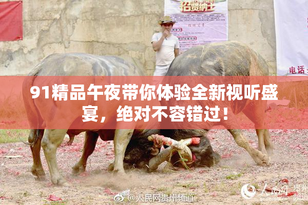91精品午夜带你体验全新视听盛宴，绝对不容错过！