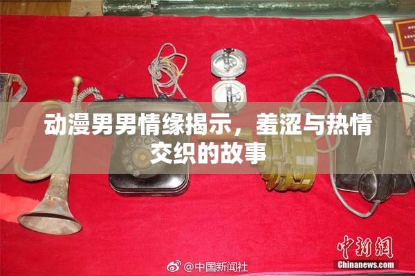 动漫男男情缘揭示，羞涩与热情交织的故事