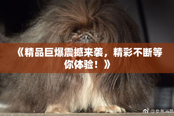 《精品巨爆震撼来袭，精彩不断等你体验！》
