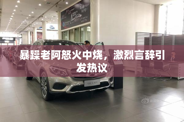 暴躁老阿怒火中烧，激烈言辞引发热议